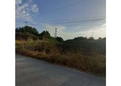 Photo of this report