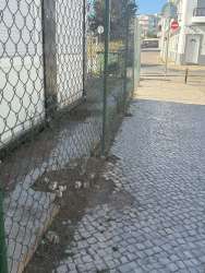 Photo of this report