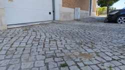 Photo of this report