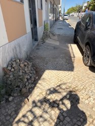 Photo of this report