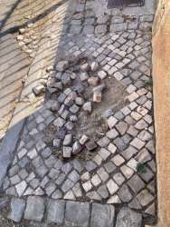 Photo of this report