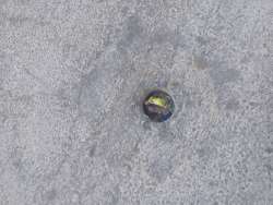 Photo of this report