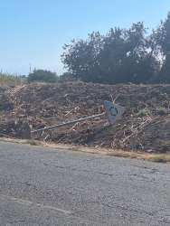 Photo of this report