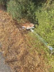 Photo of this report