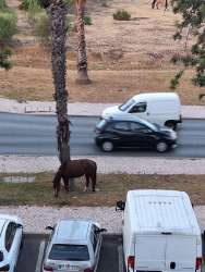 Photo of this report