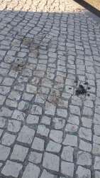 Photo of this report