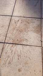 Photo of this report