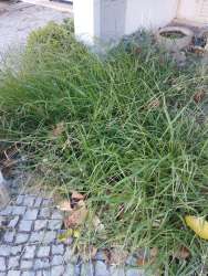 Photo of this report