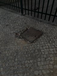 Photo of this report