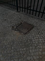 Photo of this report