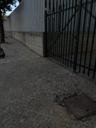 Photo of this report