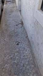 Photo of this report