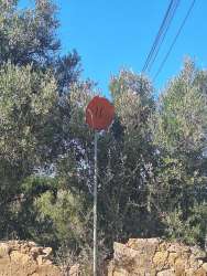 Photo of this report