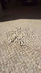 Photo of this report