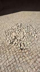 Photo of this report