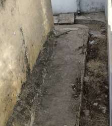 Photo of this report