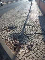 Photo of this report