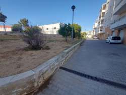 Photo of this report