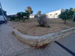 Photo of this report