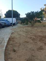 Photo of this report