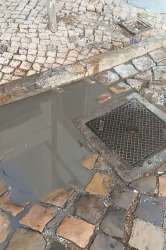 Photo of this report