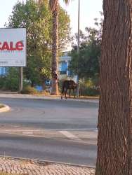 Photo of this report