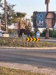 Photo of this report