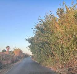 Photo of this report