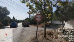 Photo of this report