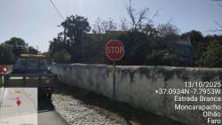 Photo of this report