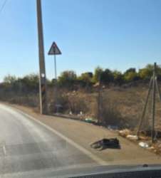 Photo of this report