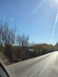 Photo of this report