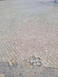 Photo of this report