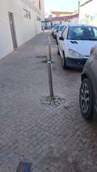 Photo of this report