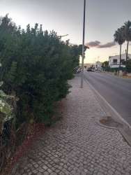 Photo of this report