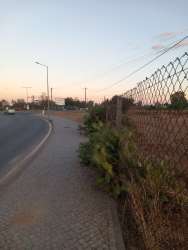 Photo of this report