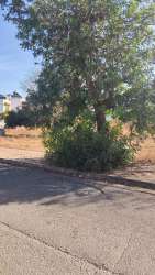 Photo of this report