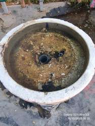 Photo of this report