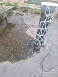 Photo of this report