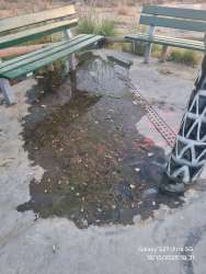 Photo of this report