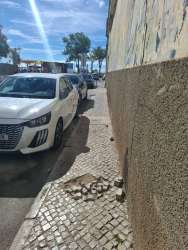 Photo of this report