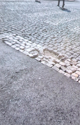 Photo of this report