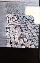 Photo of this report