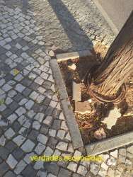 Photo of this report