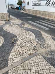 Photo of this report