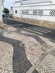 Photo of this report