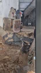 Photo of this report