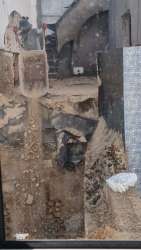 Photo of this report