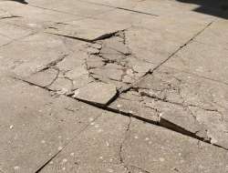 Photo of this report