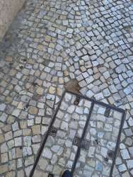 Photo of this report